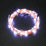 DC5V 10m 100 LED String USB Copper Wire Fairy Lights Party Decor(Bronze)-White Light