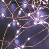 DC5V 10m 100 LED String USB Copper Wire Fairy Lights Party Decor(Bronze)-White Light