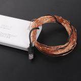 DC5V 10m 100 LED String USB Copper Wire Fairy Lights Party Decor(Bronze)-White Light