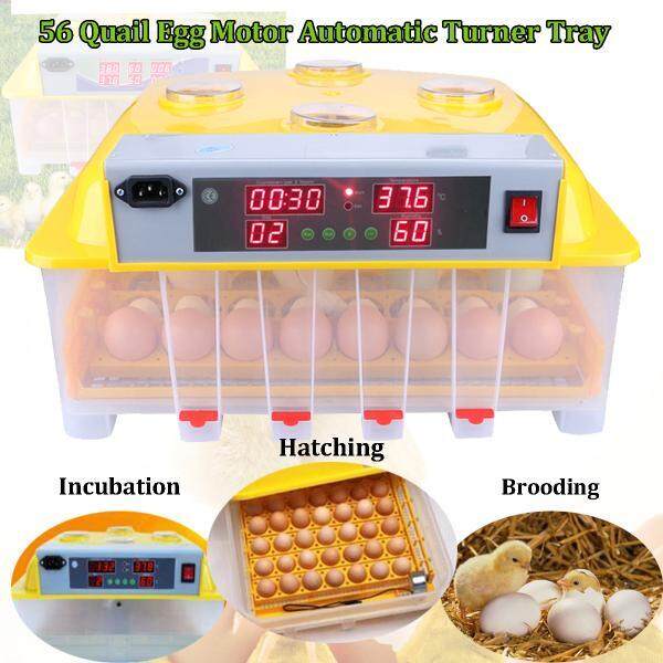 Digital 110 V 56 Inkubator Telur Otomatis Hatch Mengubah Ayam Burung Puyuh Unggas-Internasional