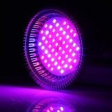 Full Spectrum Led Grow Light E27 Led Grow Lamp Plants 52W