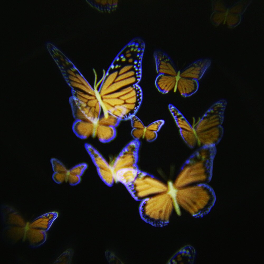 Lightme 100 - 240V 4W LED Waterproof Colorful Butterfly Light - intl