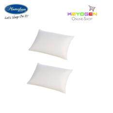 masterfoam pillow