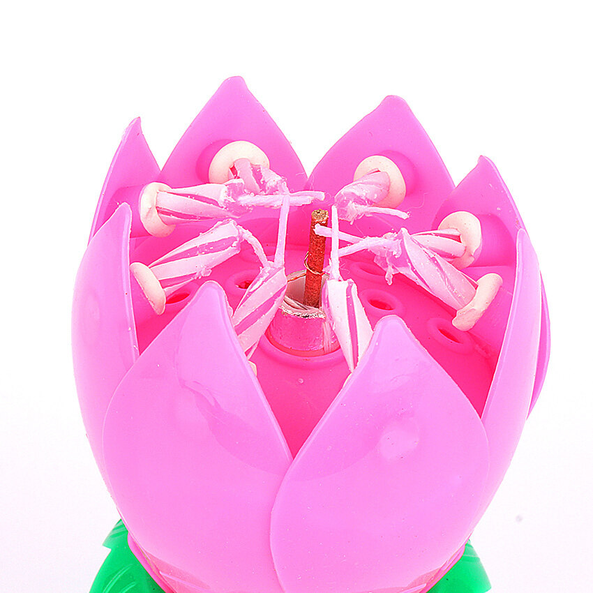 epayst Musical Rotating Lotus Flower Birthday Candle Set of 10 (Pink)