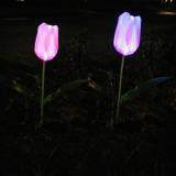 Outdoor Decoration LED Tulip Flower Solar Power Light Lamp Garden Yard Pathway(Multicolor)