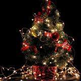 5M 50 LED String Fairy Lights LED Wire Light Xmas Wedding Party Decor 9 Colors