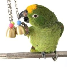 Wood Rope Pet Parrot Bird Parakeet Budgie Cockatiel Funny Biting Toy