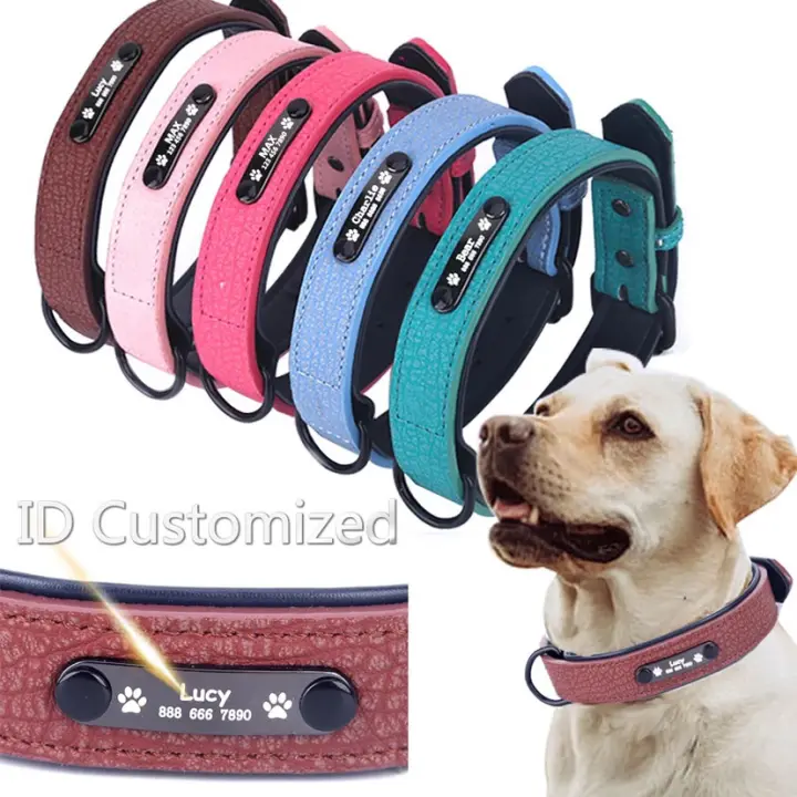 nice dog collars