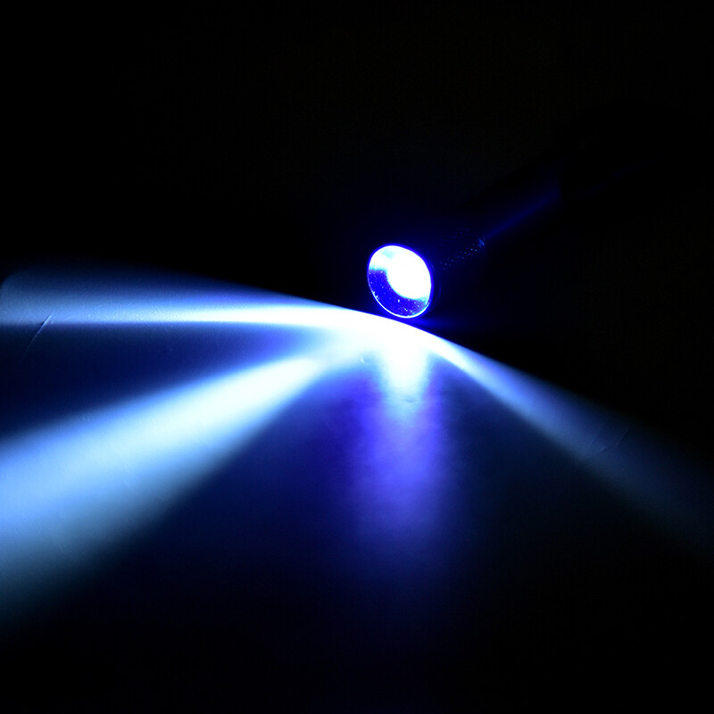 Ministar Mini Flashlight Keychain LED Pocket Torch Light Flashlight