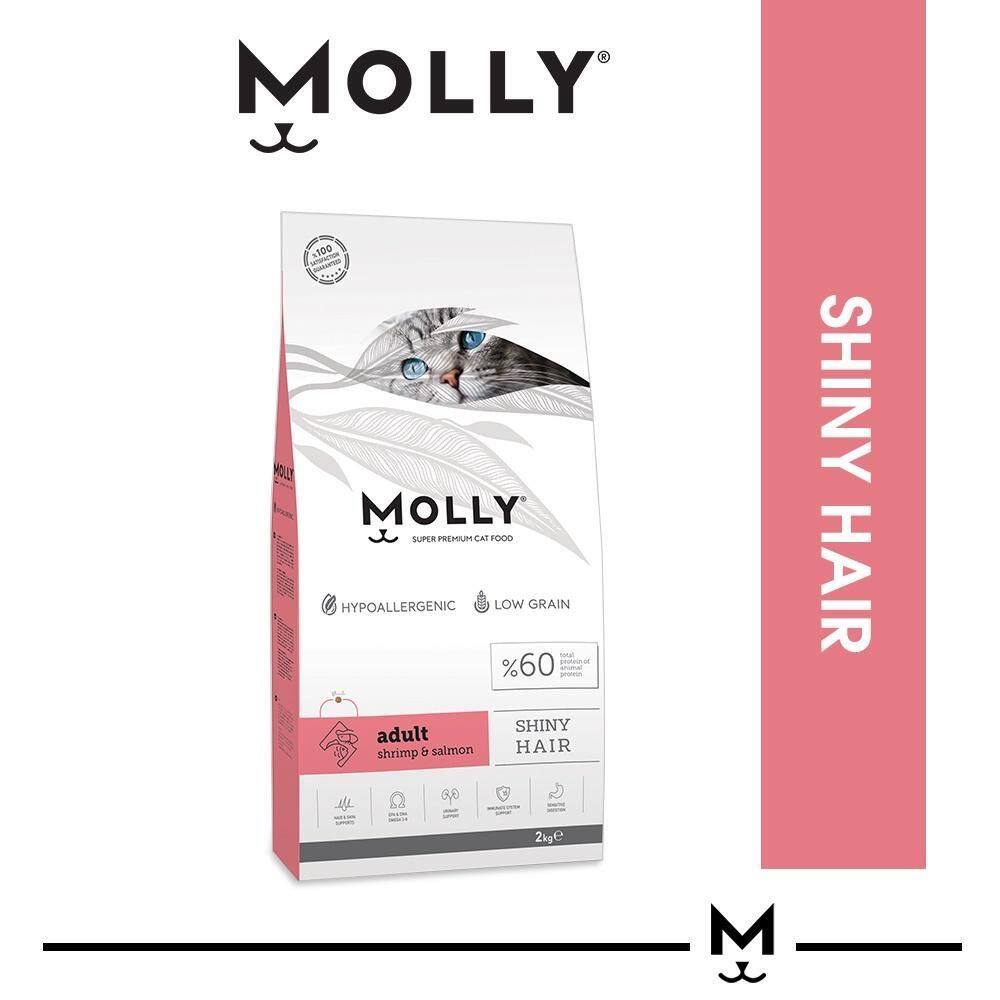 Molly Super Premium Cat Food 2KG Kitten & Mother/Chicken & Anchovy