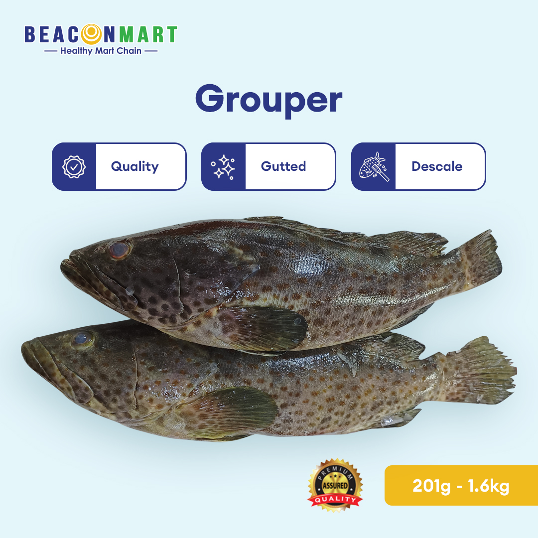 [Beacon Mart] Fresh Frozen Grouper Whole Fish | Wild Caught Sabah ...