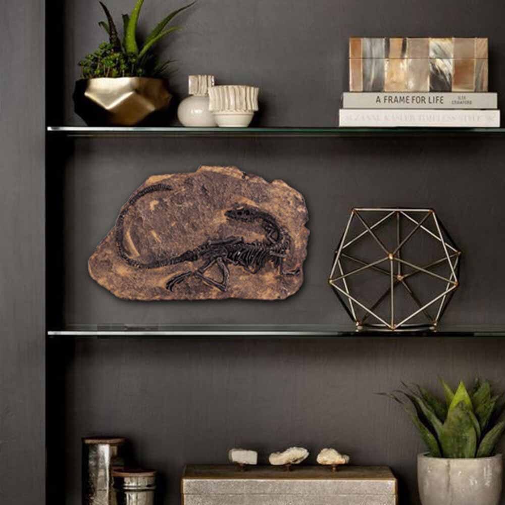 BOKALI 1PCS New Tyrannosaurus Rex Dinosaur Fossil Jurassic Cretaceous 130 Million Years Old