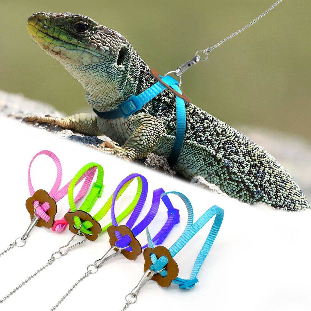 chameleon leash