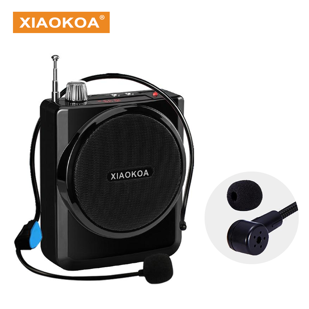 microphone with speaker for teachers