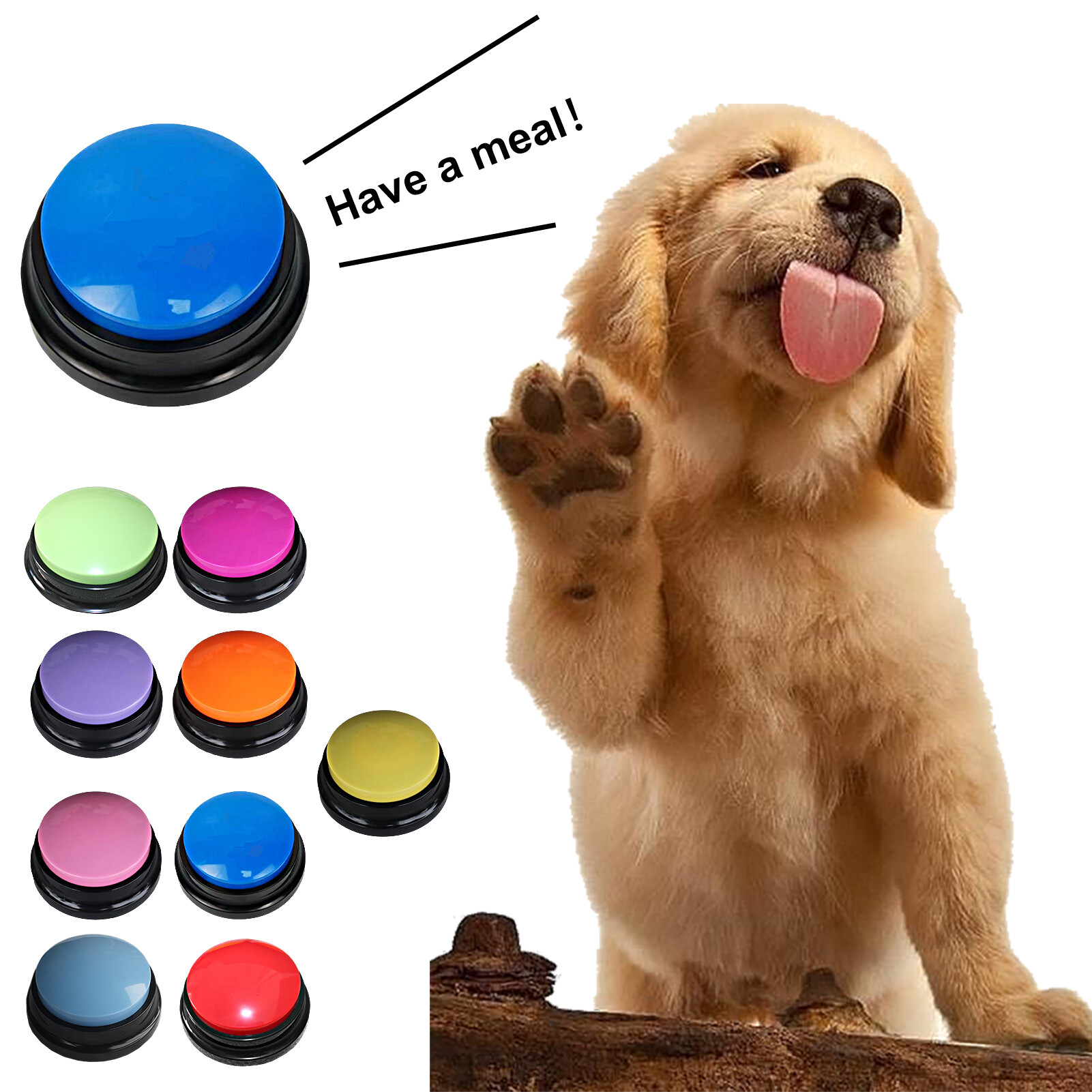 Bite Resistant Relieve Boredom Sound Button Entertain Interactions Pet Dog Recordable Talking Button Pet Supplies Pet Training Buzzer
