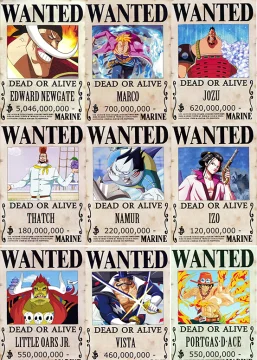 Beli One Piece T Shirt Luffy Wanted Pada Harga Terendah Lazada Com My