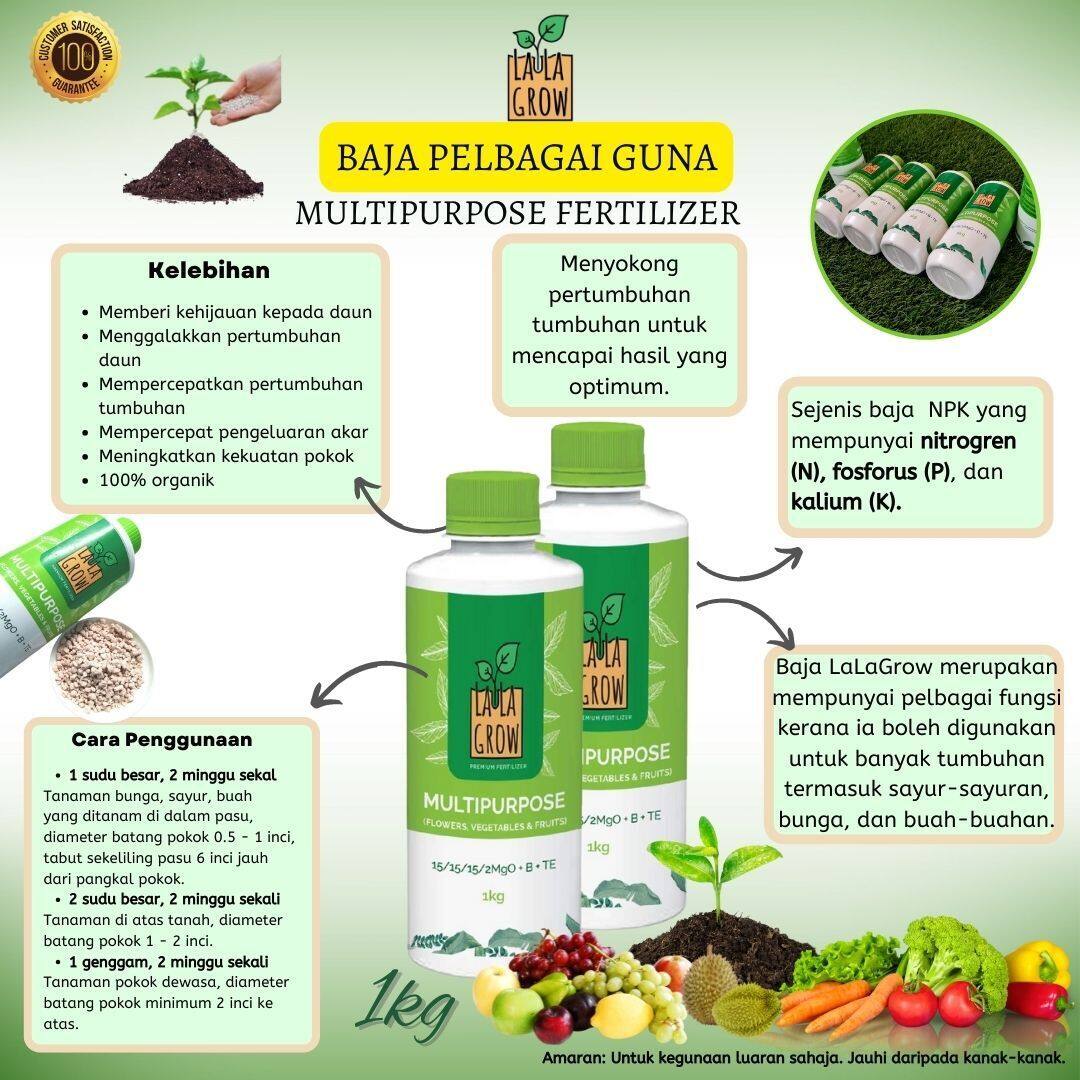 Racun Perosak Padi Bena Perang Brown plant hopper 250g (Nilaparvata