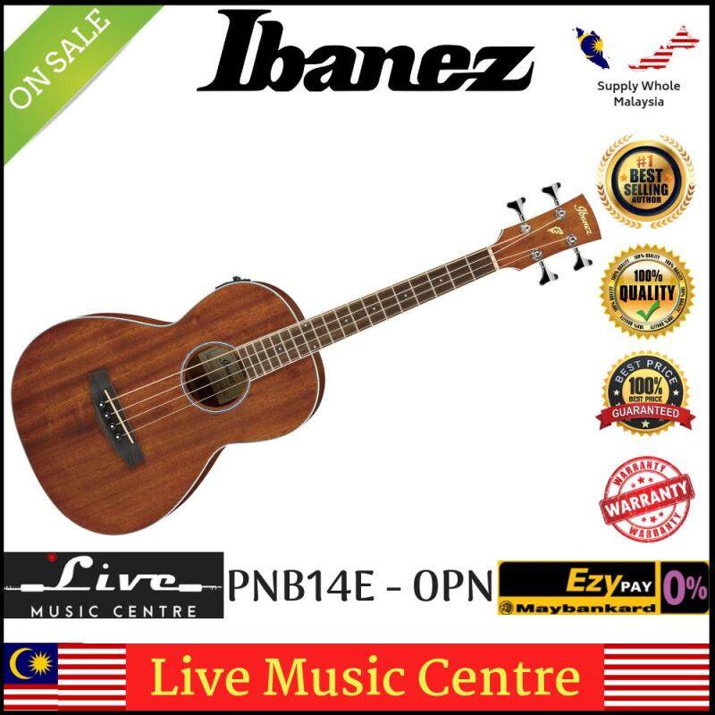 Ibanez PNB14E-OPN Open Pore Natural Acoustic-Electric Bass Parlor Body (PNB14E) Malaysia