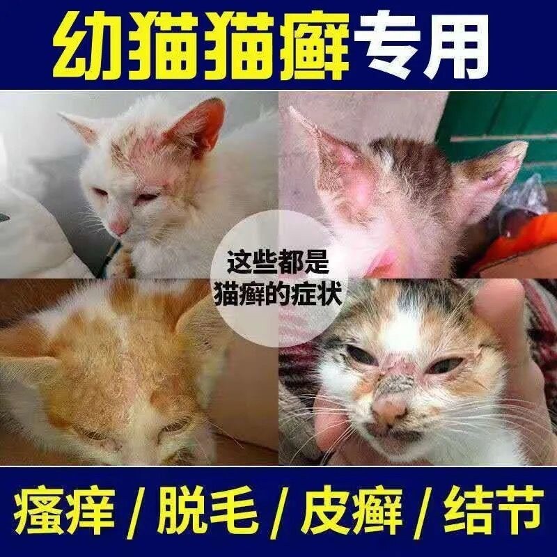 Feline ringworm moss special medicine eczema dermatitis treatment dog