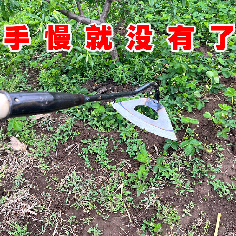 Cuốc Nông Nghiệp Cuốc Làm Cỏ Cuốc Rỗng Bằng Thép Mangan Dày Đục Lỗ Lớn Cực Lớn Hộ Gia Đình Làm Cỏ Mở Ra Đất Hoang Nông Nghiệp