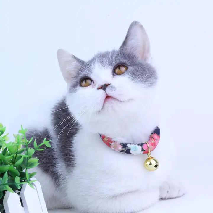 Kitteoy Hewan Peliharaan Dekorasi Aksesoris Baru Yang Dapat Kartun