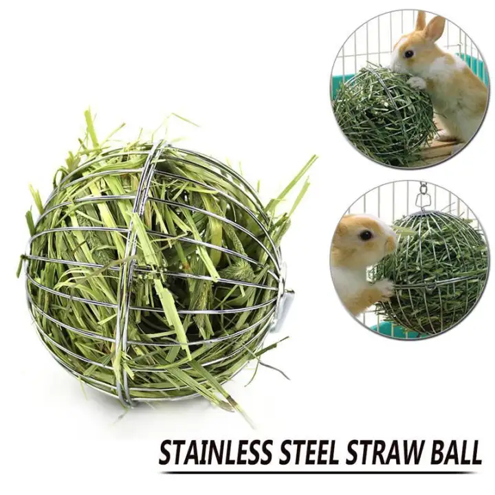 Ds Mart Hay Feeder Ball Rabbit Guinea Pig Feeder Hay Manger Small