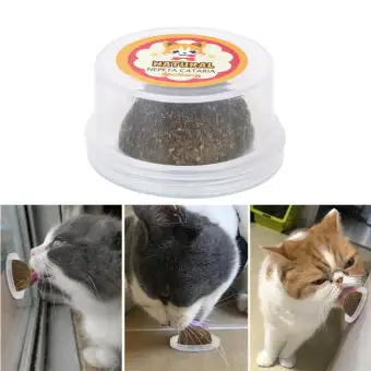 cat toys lazada