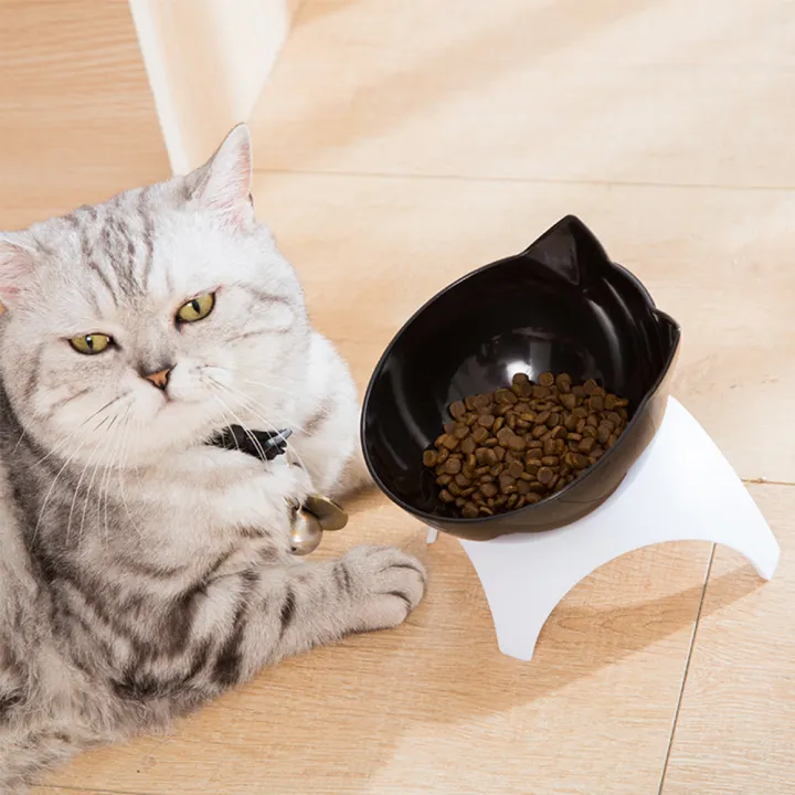 cat food dish