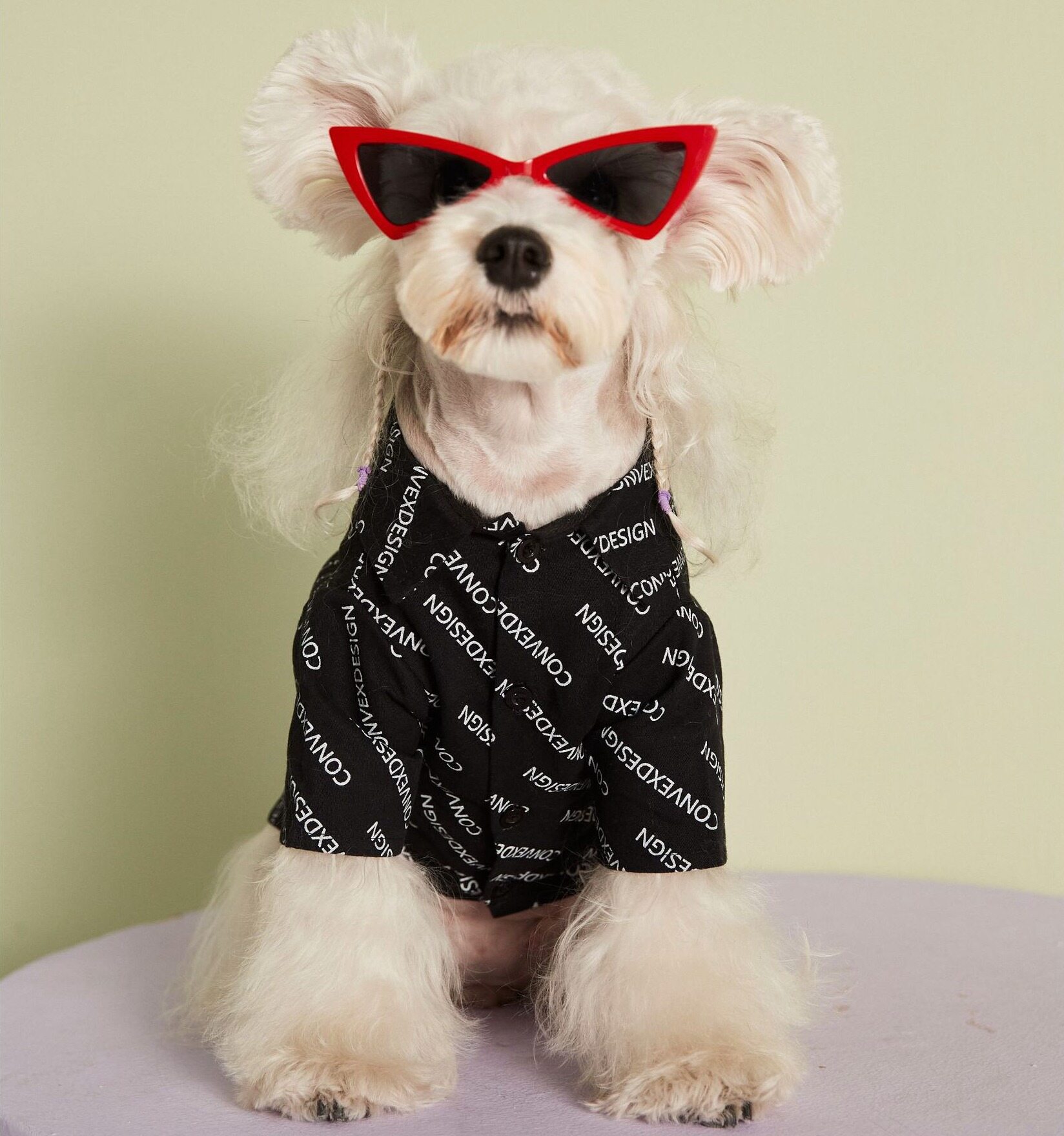 DY Loving Dog Clothes Denim Letter Printing Cool Dog Cardigan with Button Dog Shirt for Shihtzu Pomeranian Teddy Schnauzer