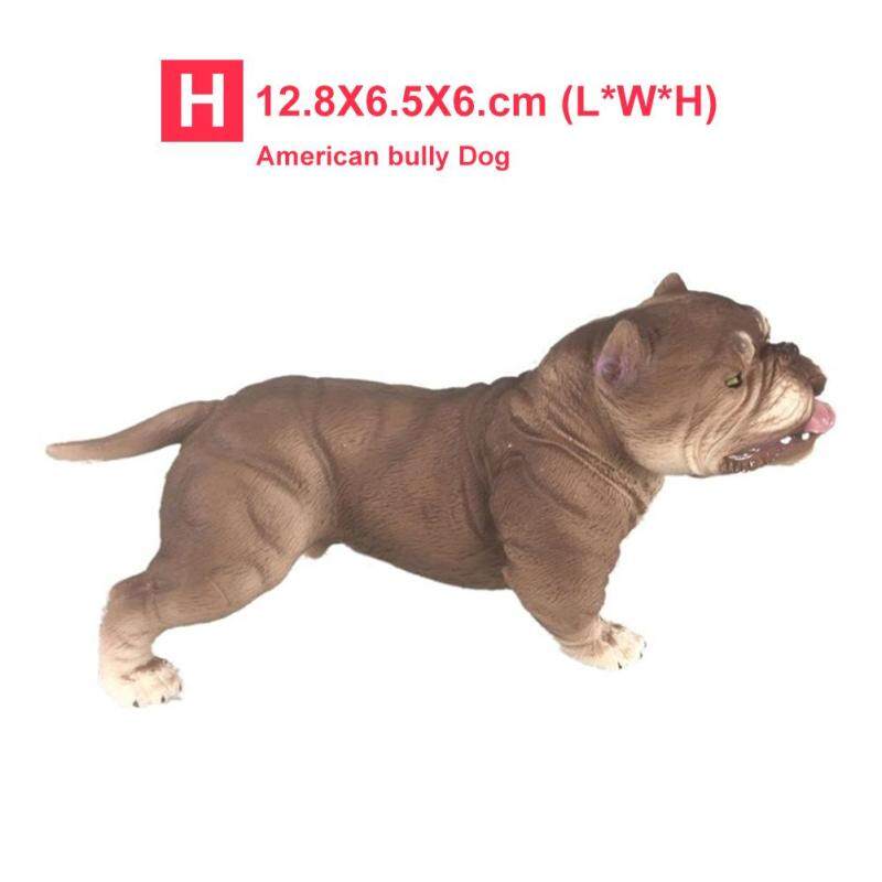 Dogo Argentino Bull Terrier Mỹ Chó Bully Tượng Hình Tượng Đài 