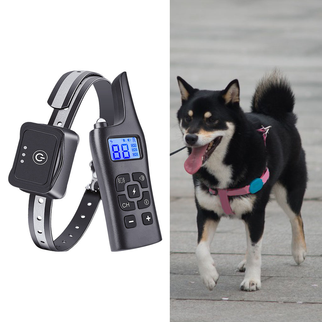 electric dog collar