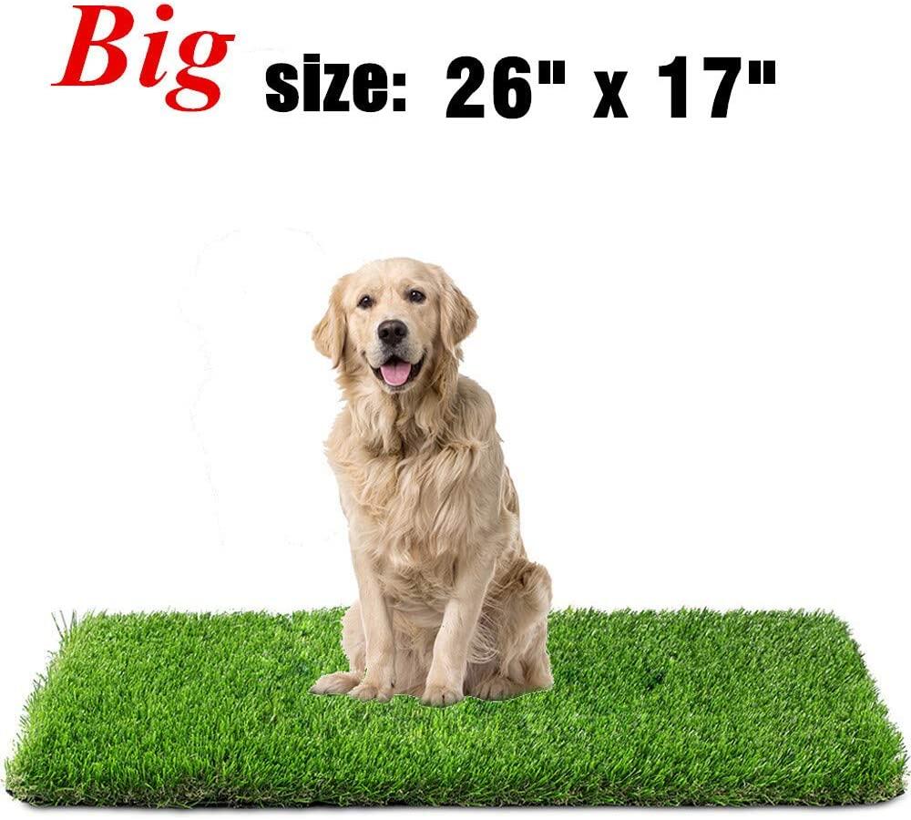 dog grass mat