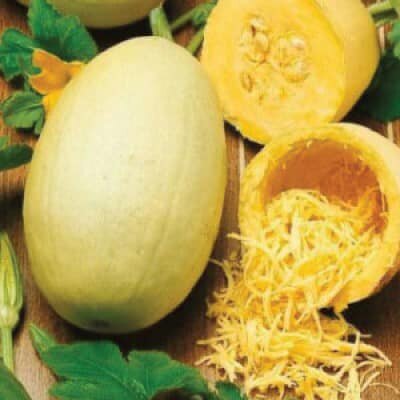 MA322 Hạt Giống Bí Sợi Mì Ý Spaghetti tặng kèm gói thuốc kích hat nảy mầm