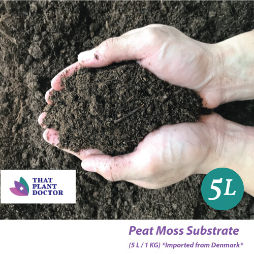 Peat Moss Substrate (Fine) (5L) Lazada
