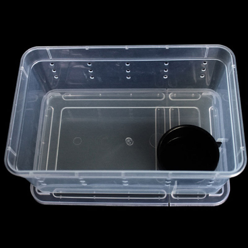 Transparent Plastic Box Insect tile Transport Breeding Live Food Feeding Box