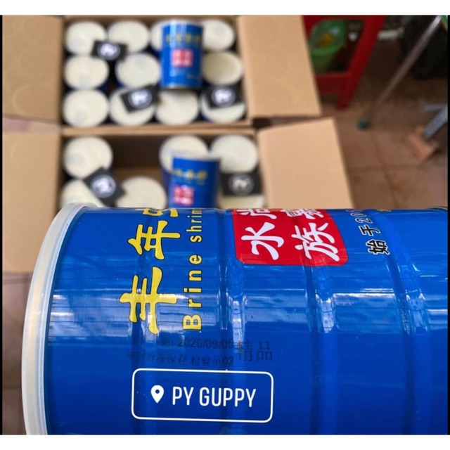 🐠 Artemia Xanh - Hàng bao nở - Date mới  ( 50 gram )