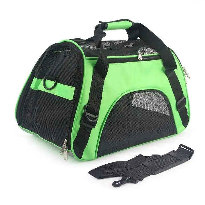 630 Gambar Hewan Peliharaan Berwarna Terbaru