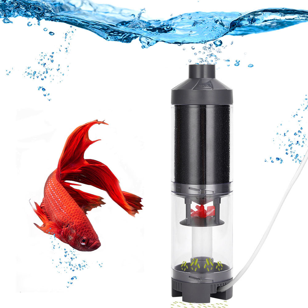 Bảy Master trong suốt phân cá Collector bể cá hồ cá làm sạch bộ lọc