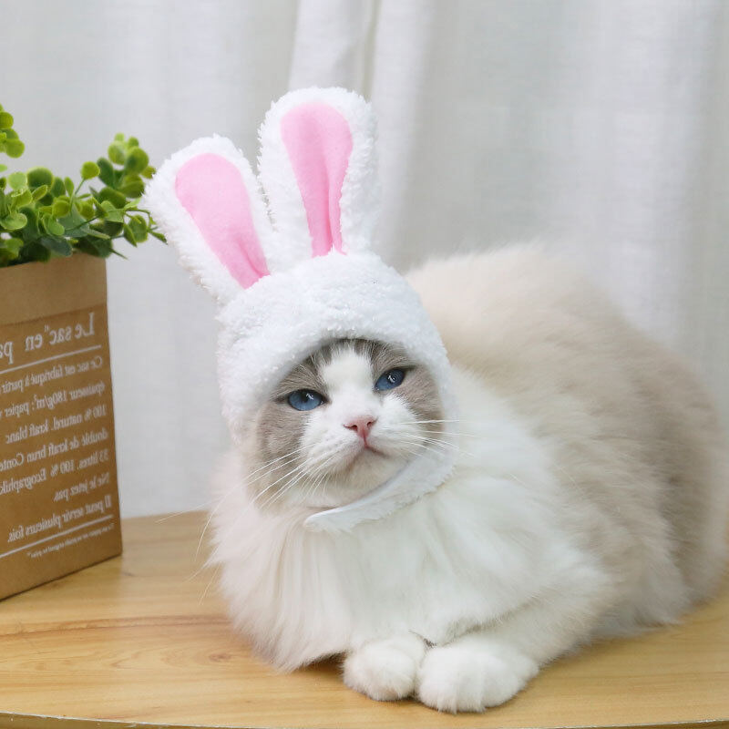 DY Loving 4 Colors Rabbit Cosplay 3D Ear Cute Cat Hat Small Dogs Cap