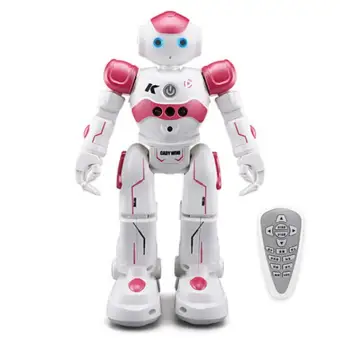 rc smart robot