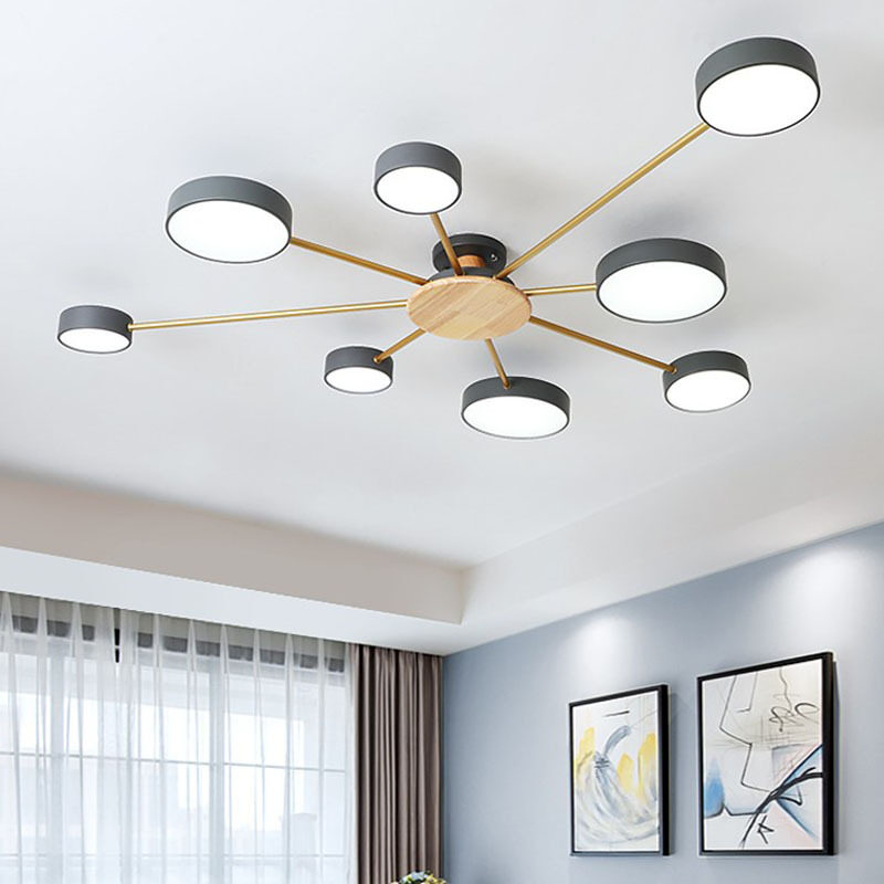 modern minimalist ceiling light