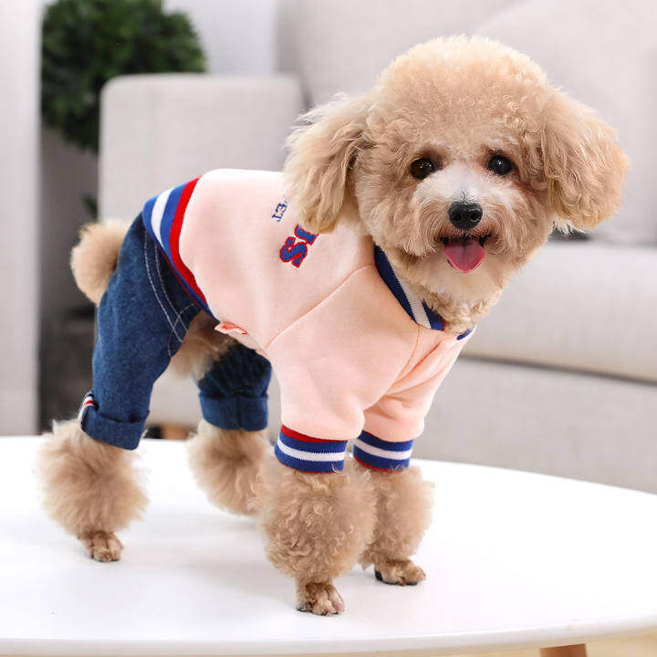 discount dog