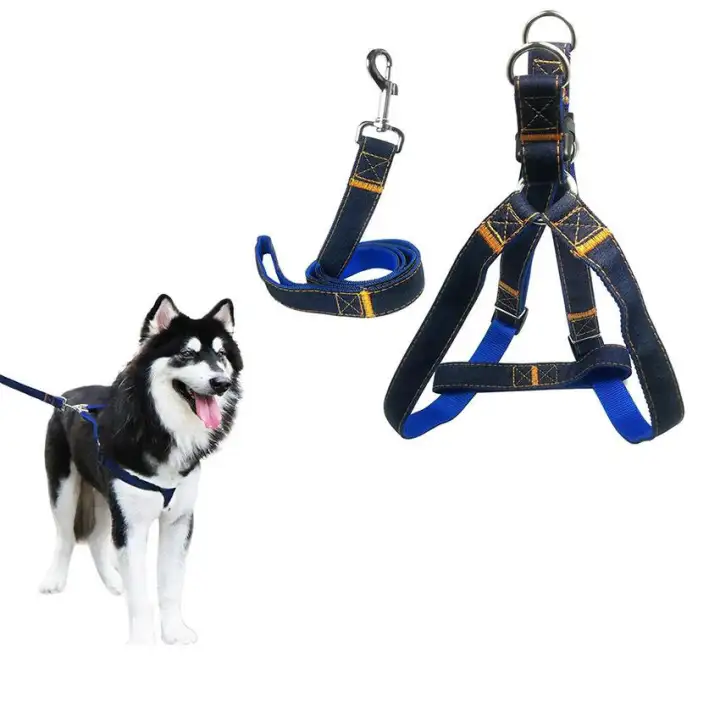 100 Asli Kualitas Tinggi Tali Kekang Anjing Adjustable Denim