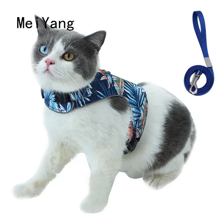 cat harness lazada