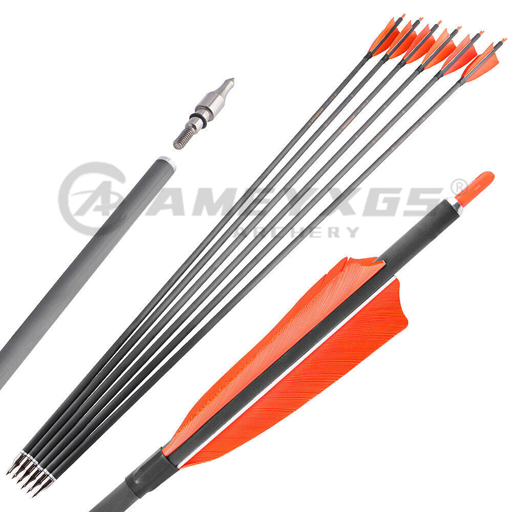 Tiro con l'arco 28/30/31 pollici Spine 500 frecce in carbonio con punta
