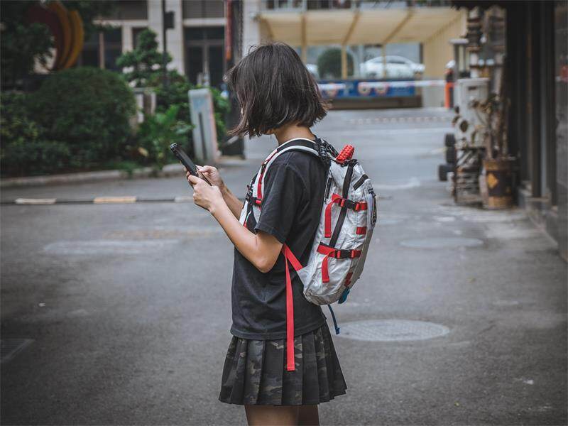 Lii Gear Mr Big 13L Backpack