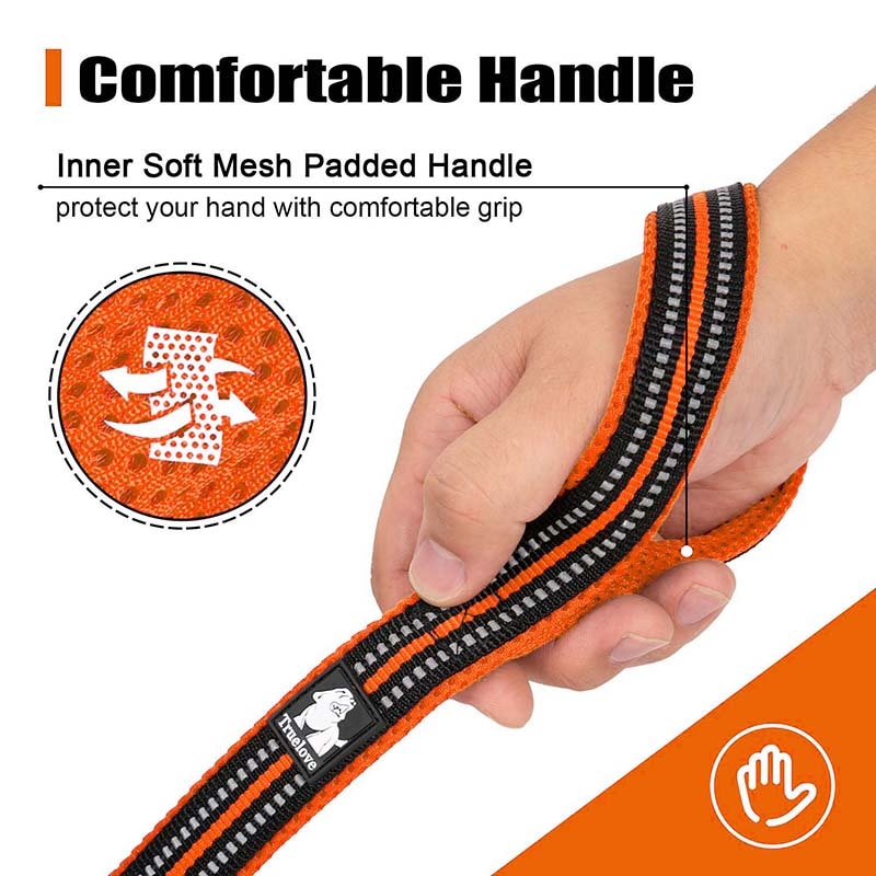 Truelove Soft Mesh Nylon Dog Leash Double Trickness Running Reflective ...