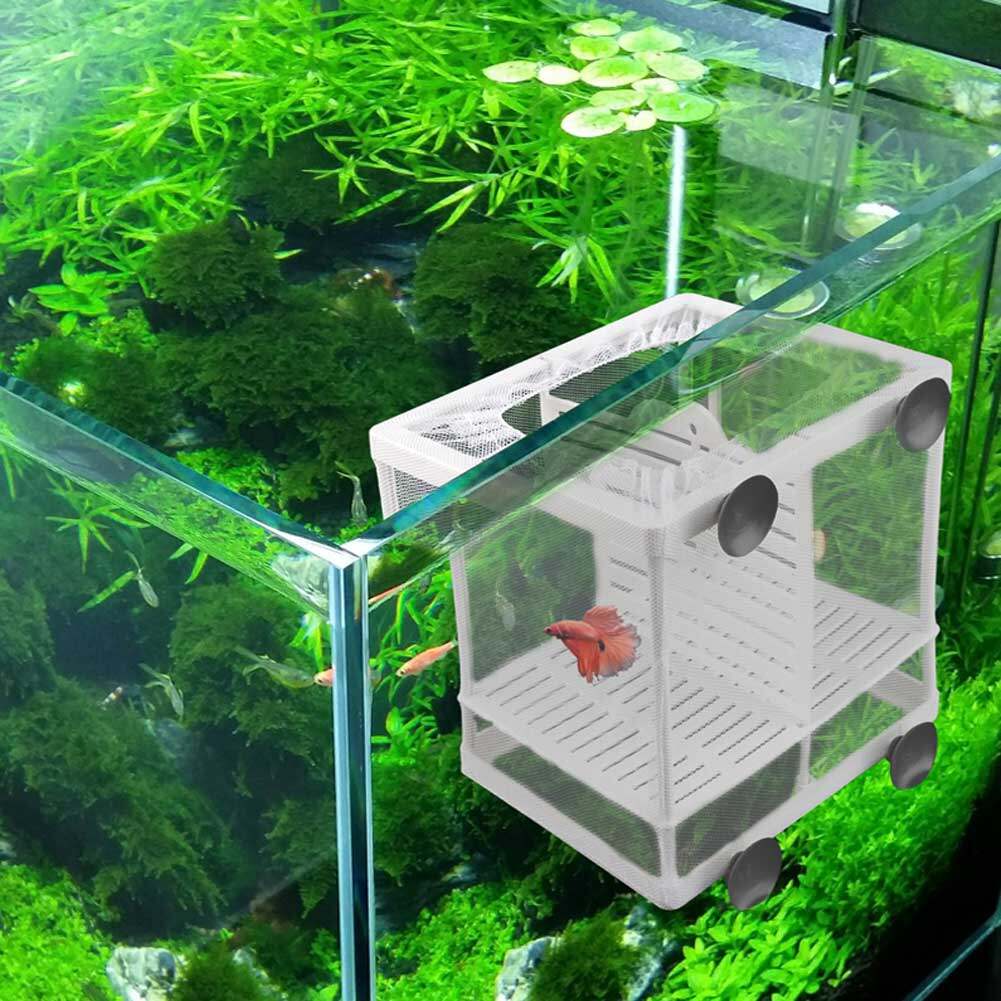 Aquarium Fish Breeding Breeder Box Baby Fish Hatchery Isolation Net Fish Tank Incubator Box Hanging Aquarium Accessory Supplies