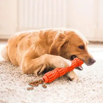 lazada dog toys