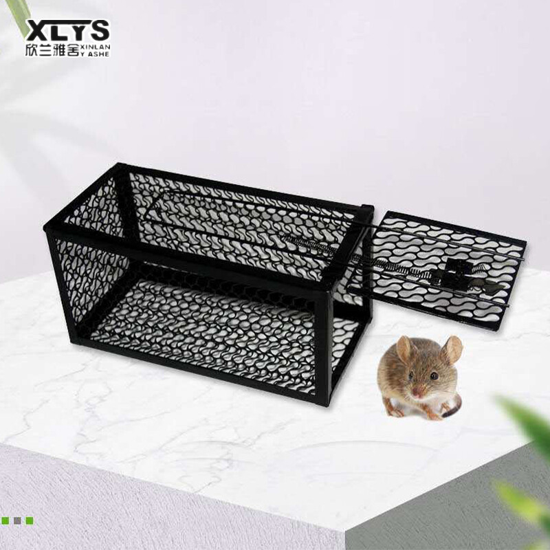XINLANYASHE [Miễn Phí Vận Chuyển]Mousetrap mousetrapmousetrapmousetrapsticky mouseboard nhà